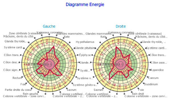 Diagramme circulaire d'énergie des organes Bio-Well